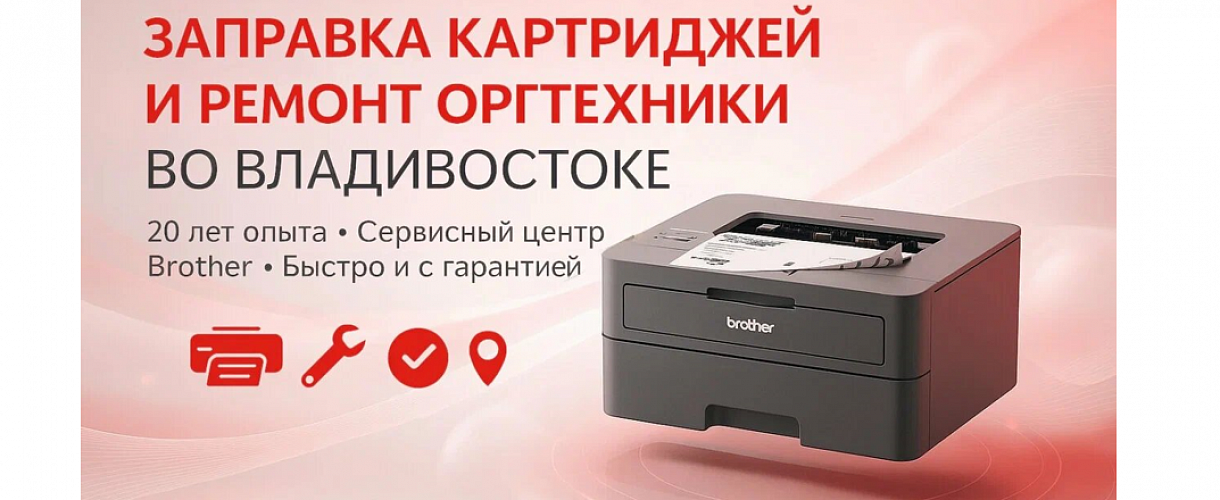 Разберём по полочкам: из чего состоит картридж